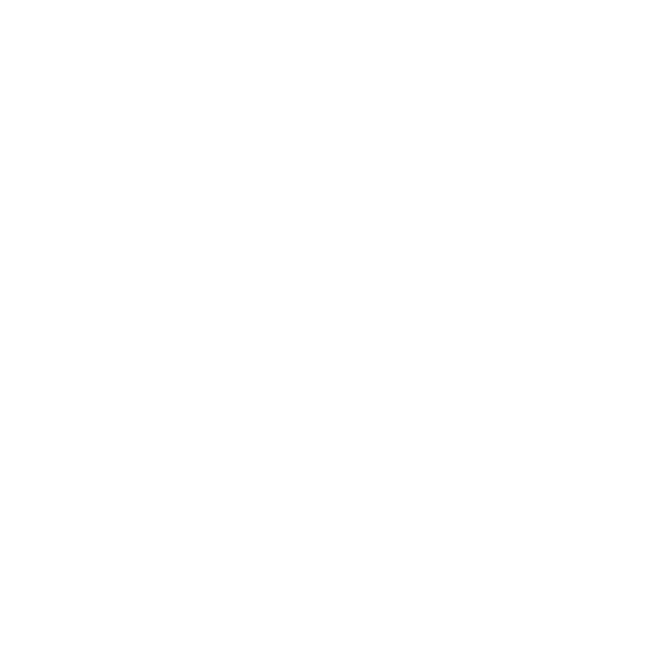 Pride Transaction Services